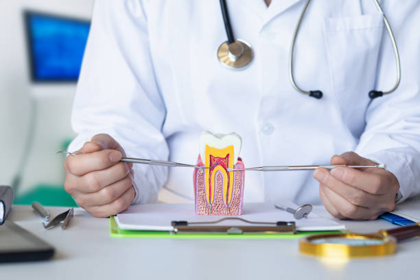 Best Pediatric Emergency Dentist in Woodfield, SC